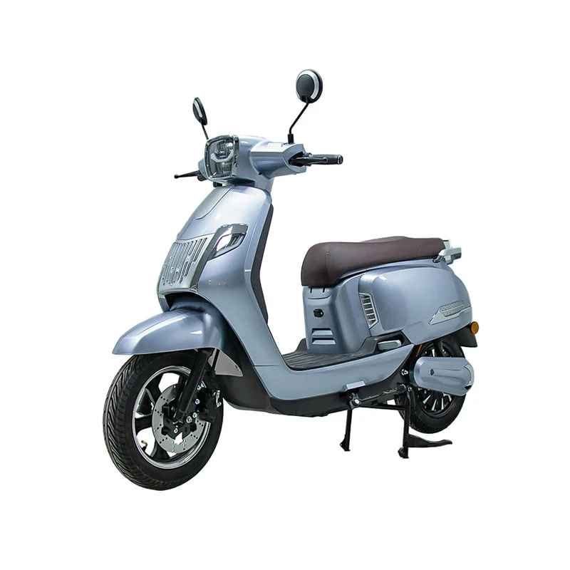Sepeda motor listrik untuk orang dewasa 10 inci 800W motor
